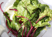 food matters documentary, natural health