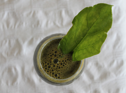 green juice fast, juice fasting, spinach juice