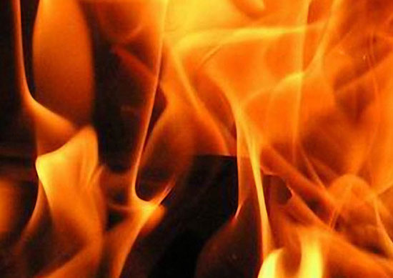 inflammation and mental illness, inflammation and behavior
