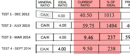 calcium-potassium mineral ratio of hair mineral analysis indicates the oxidation rate, Ca-K