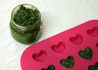 pesto sauce recipe, raw food