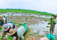 natural health news farmers