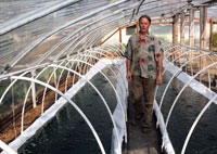 growing spirulina, spirulina revolution